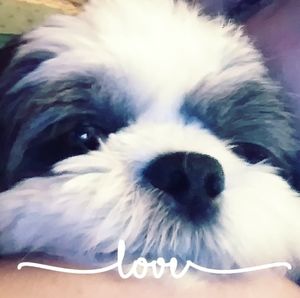 Meet your Posher, Stacey